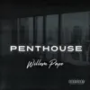 Willem Pape - Penthouse - Single